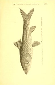 n214_w1150