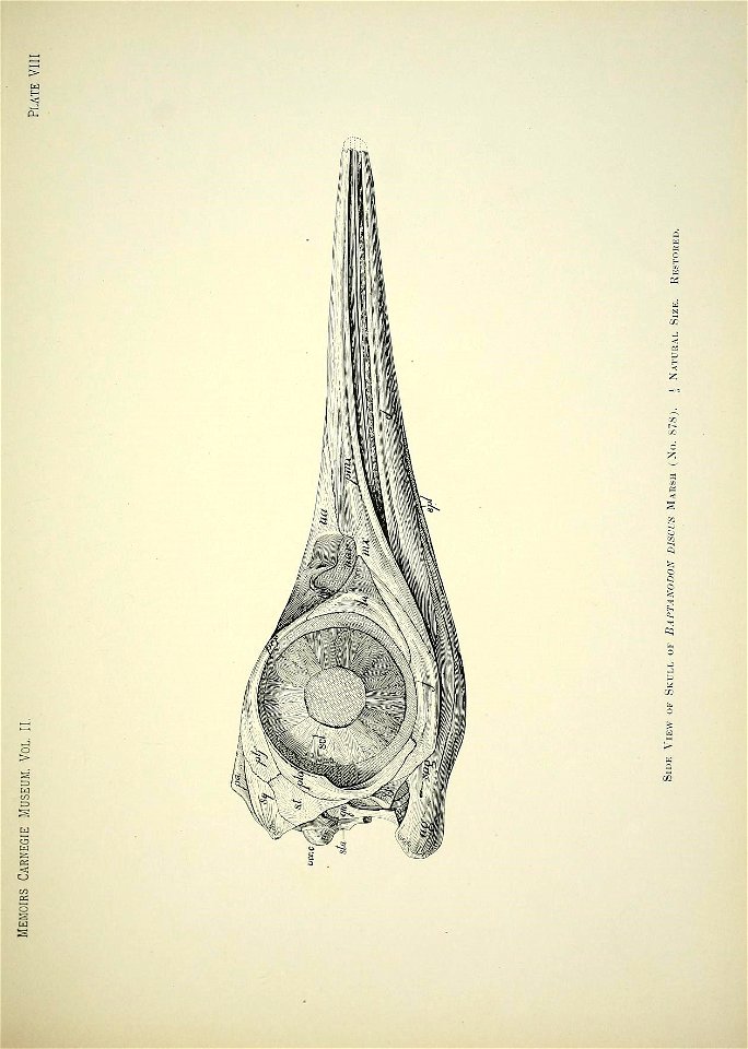 n178_w1150