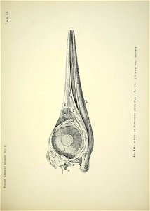 n178_w1150