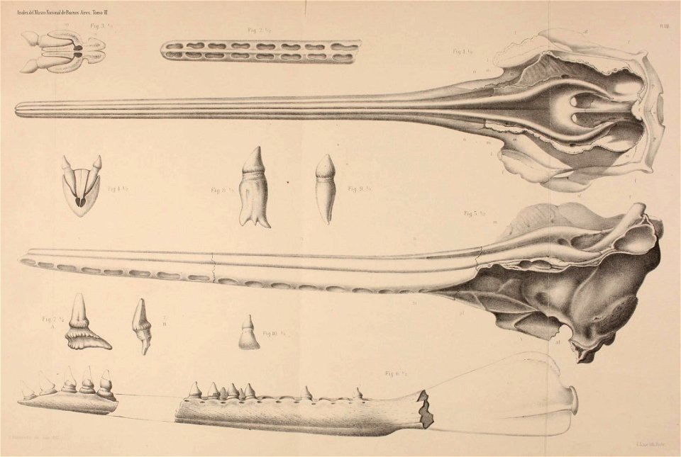 n544_w1150