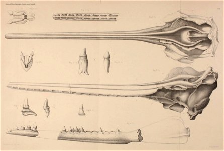 n544_w1150