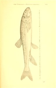 n366_w1150