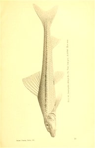 n188_w1150