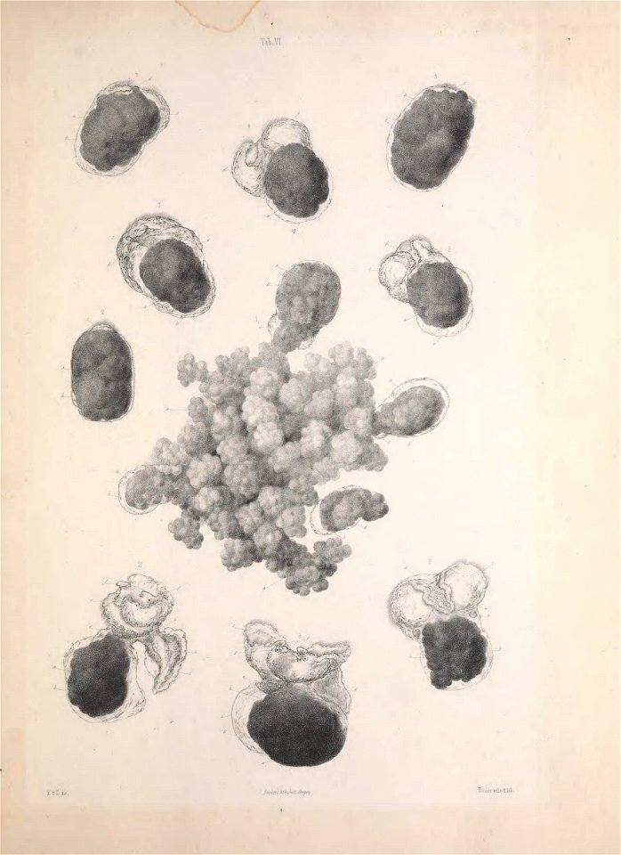 n132_w1150