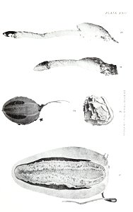 n134_w1150