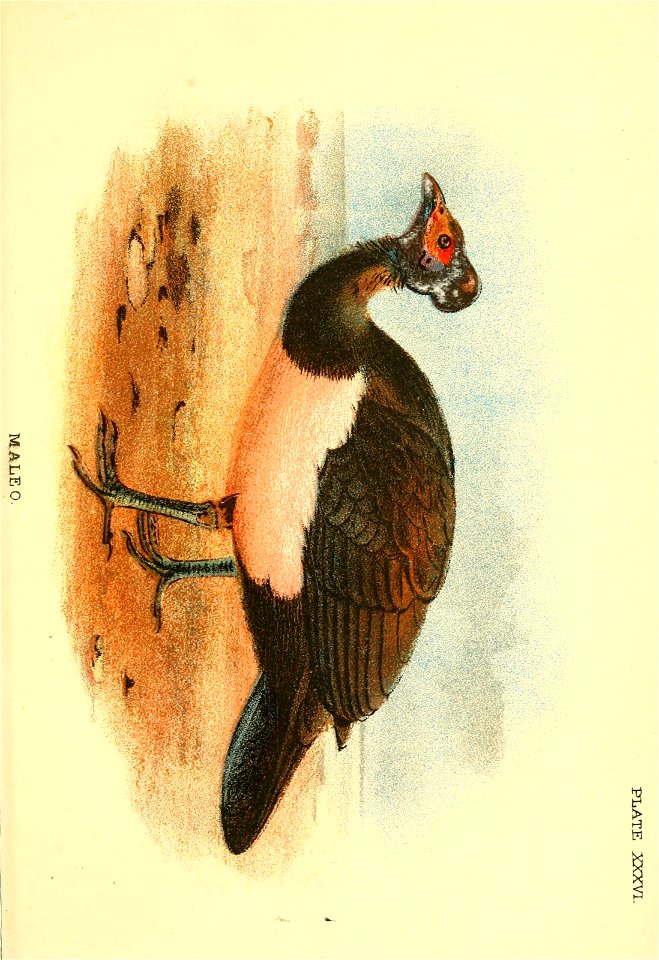 n250_w1150