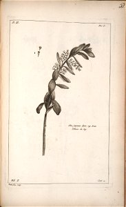 n153_w1150