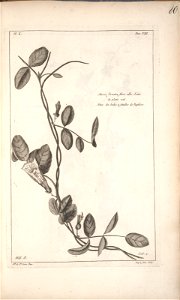 n81_w1150
