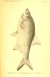 n380_w1150