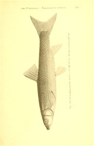 n226_w1150
