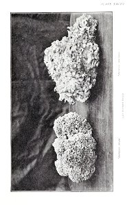 n152_w1150