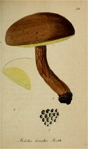 n424_w1150