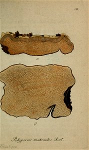 n232_w1150