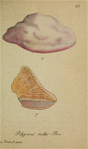 n112_w1150