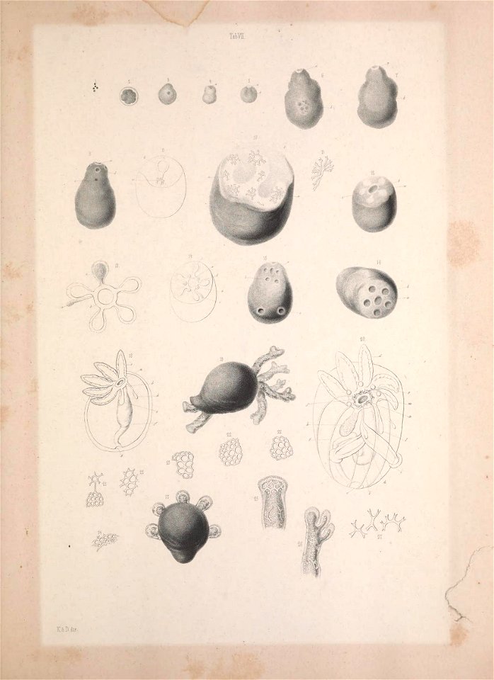 n134_w1150