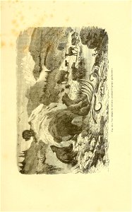 n448_w1150