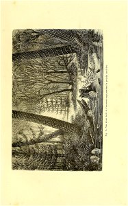 n124_w1150