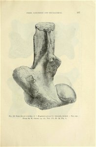 n474_w1150