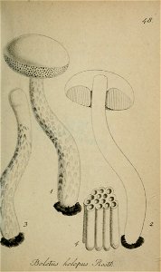 n532_w1150