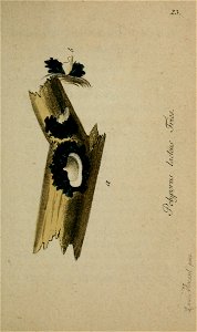 n104_w1150