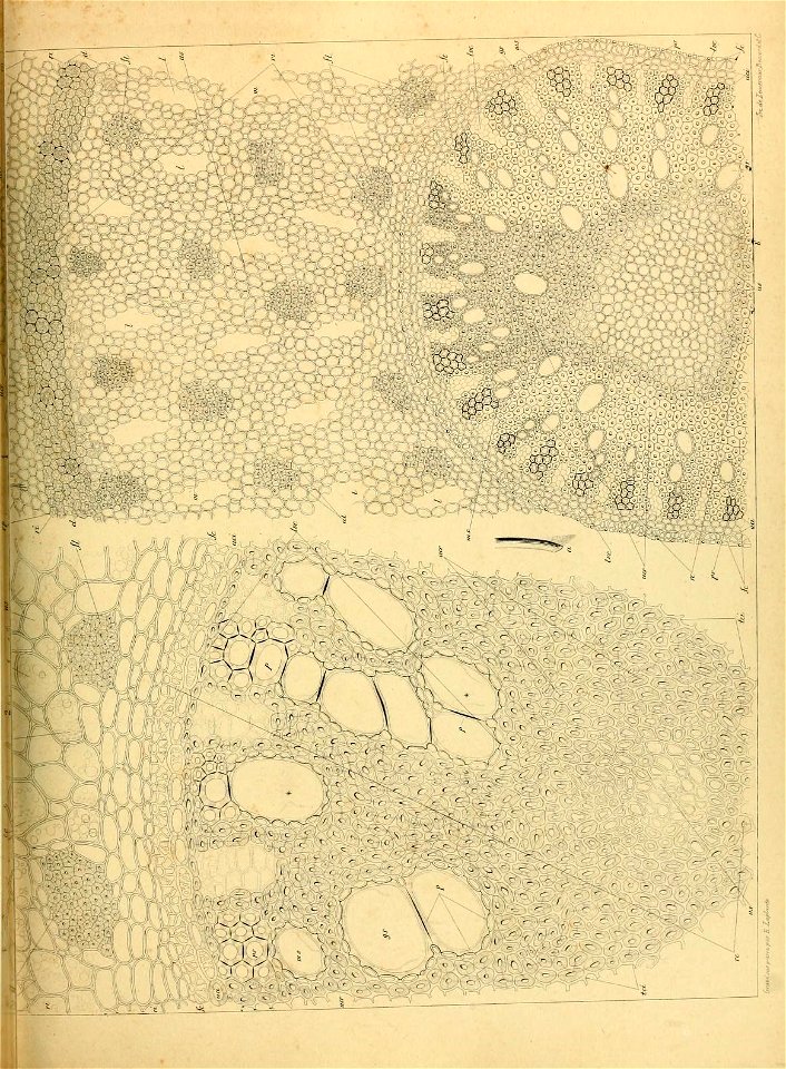 n516_w1150