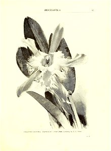 n116_w1150