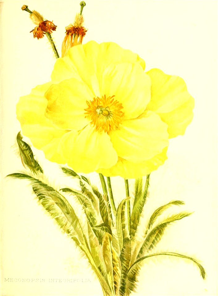 n102_w1150
