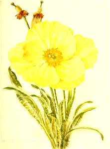 n102_w1150