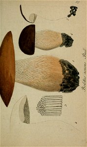 n488_w1150