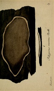 n240_w1150
