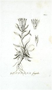 n502_w1150
