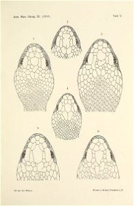 n636_w1150