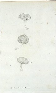 n498_w1150