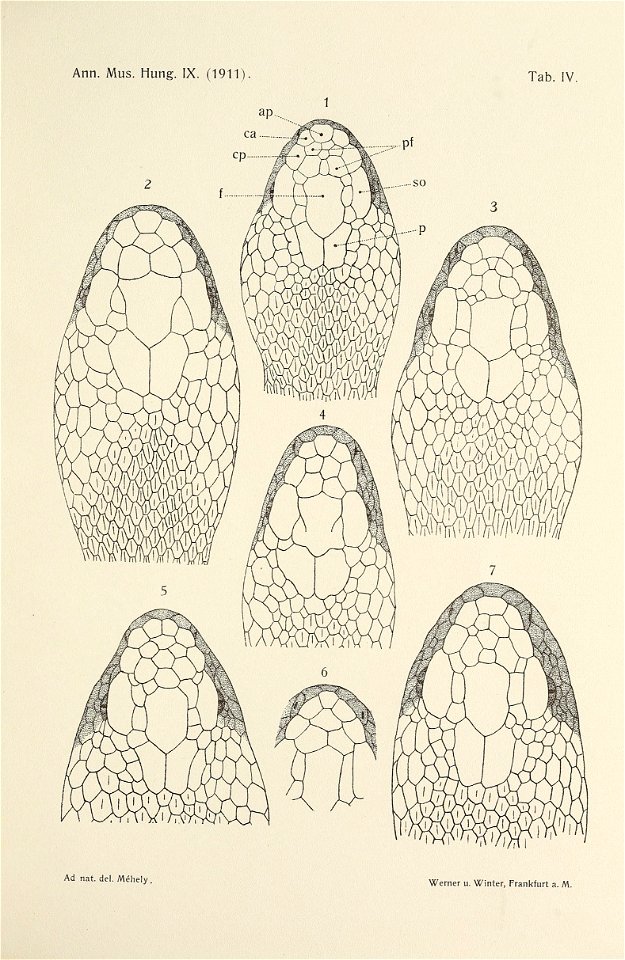 n634_w1150