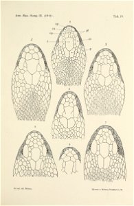 n634_w1150