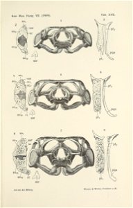 n678_w1150
