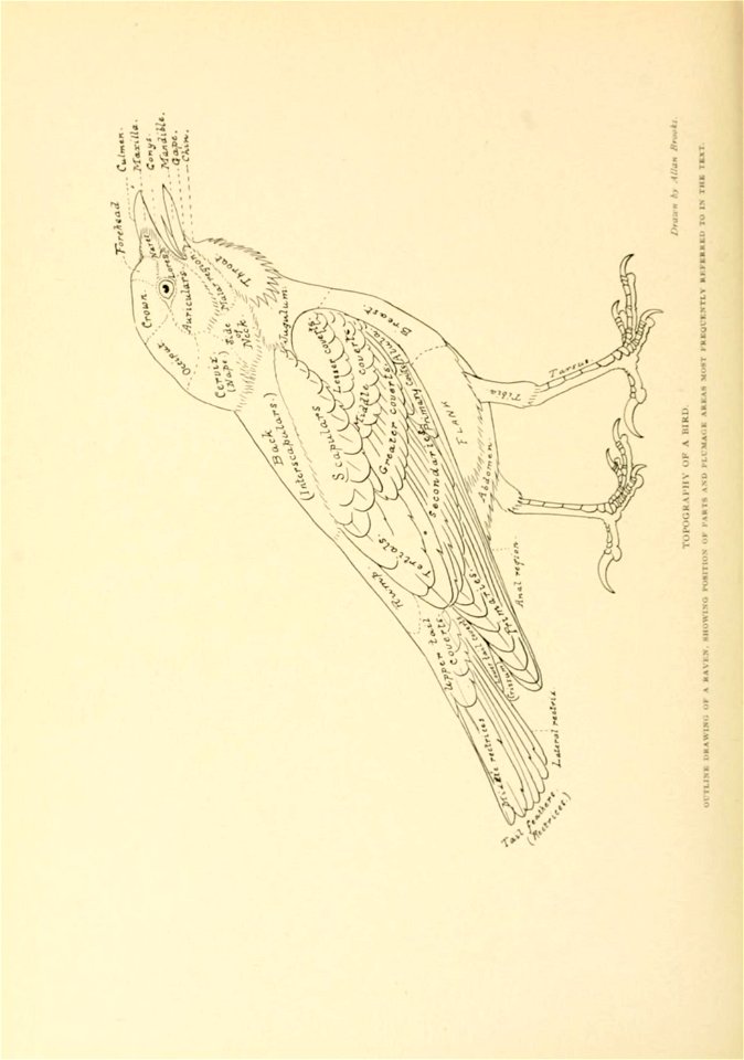 n519_w1150