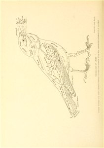 n519_w1150
