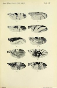 n634_w1150
