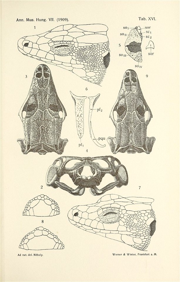 n676_w1150