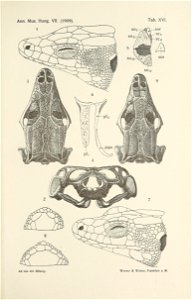 n676_w1150