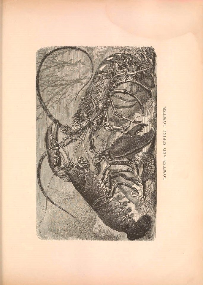 n536_w1150