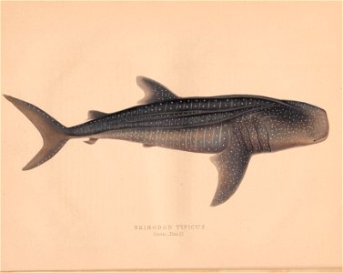 n119_w1150