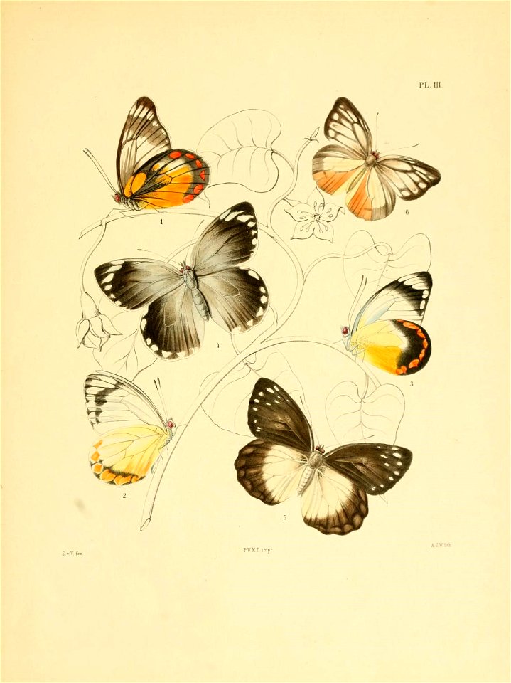 n94_w1150