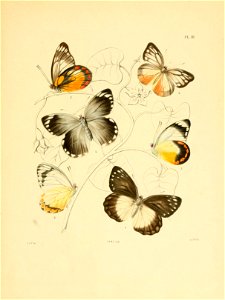 n94_w1150