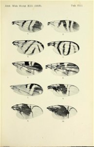 n632_w1150