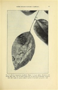 n550_w1150