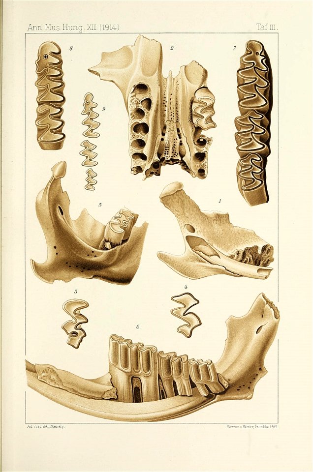 n696_w1150
