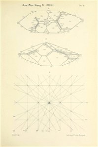 n664_w1150