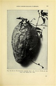 n544_w1150
